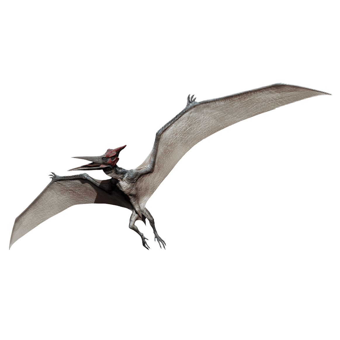 pterodactyl
